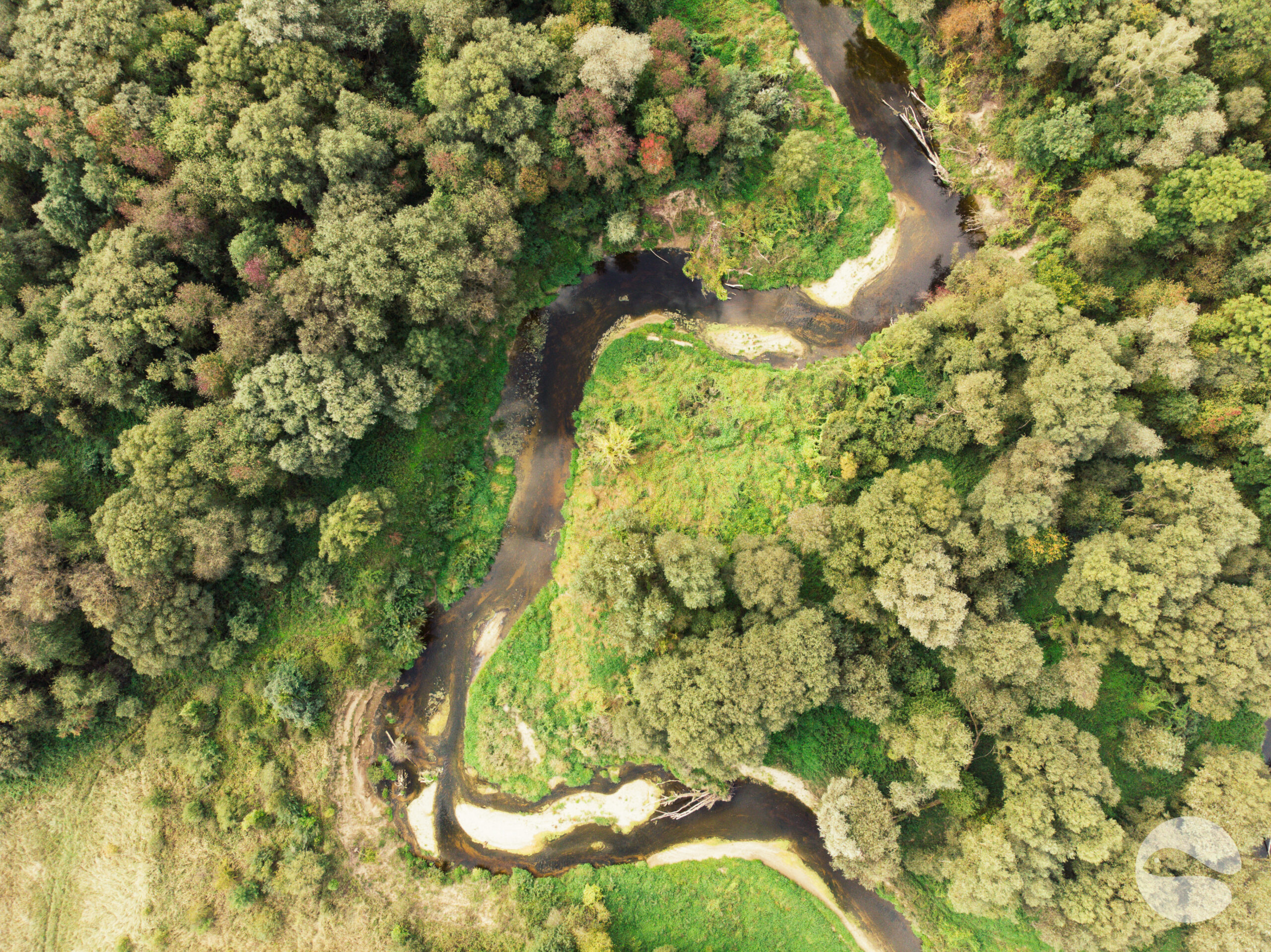 Autumn fishing in rivers