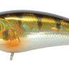 Pontoon21 Alter Idem 36SP SR, Hard Lures