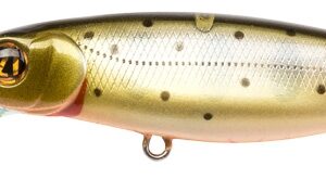 Pontoon21 Greedy Guts 44F SR 451