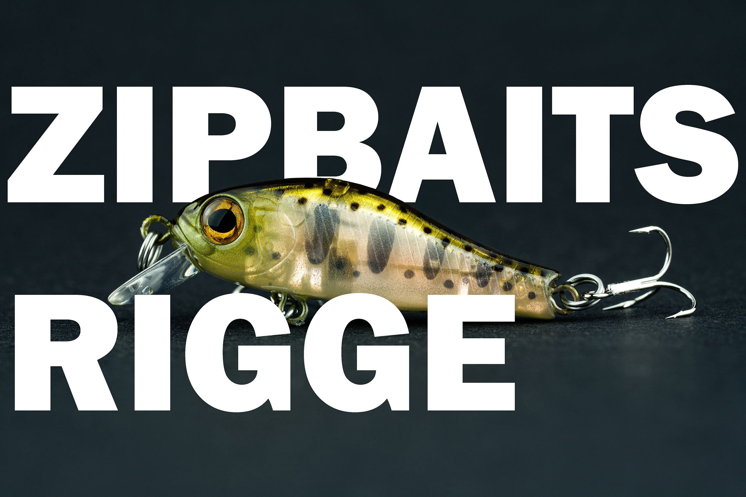Zipbatis Rigge