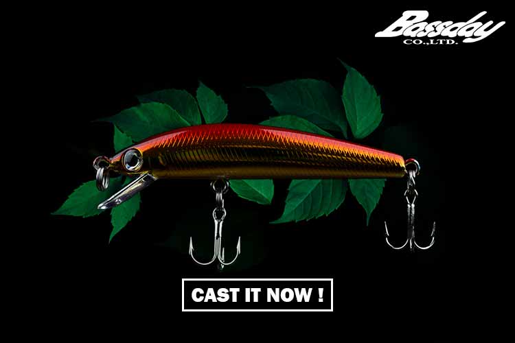 Bassday Sugar Minnow