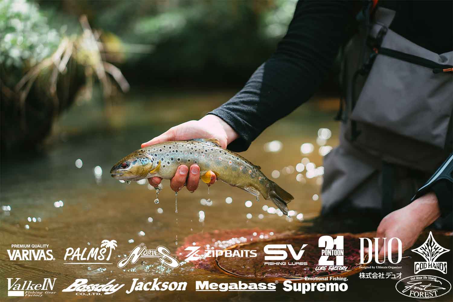 trout fishing lures