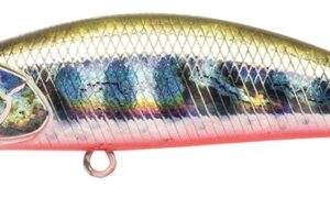 Spearhead Ryuki 50S ADA4068 Yamame Red Belly