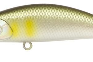 Spearhead Ryuki 50S ANI4010 Pearl Ayu