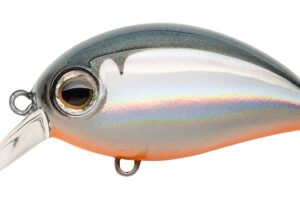 Zipbaits Hickory 34F SR 811R