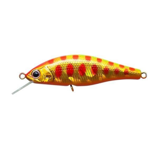 DAIWA Dr.Minnow ll 50F # Yamame Lures buy at