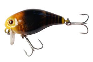 Jackall Chubby 38F SSR Dokunashi Suzumebachi