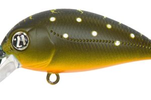 Pontoon21 Hypnose 38F SR 314 Brook Trout