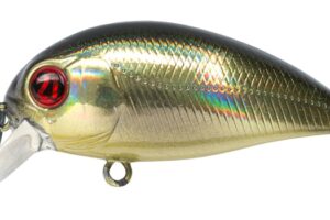 Pontoon21 Hypnose 38F SR R22 Faked Aurora B