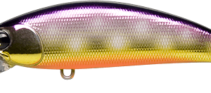 IMA Sukari 50SS 113