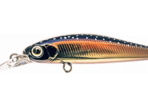 Zipbaits Rigge 46S 816 fix