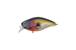 Jackall Magnum Chubby 50F