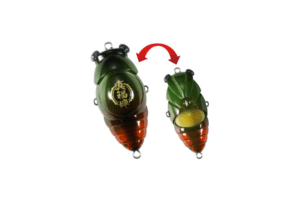 DUO Shin Fukuzemi