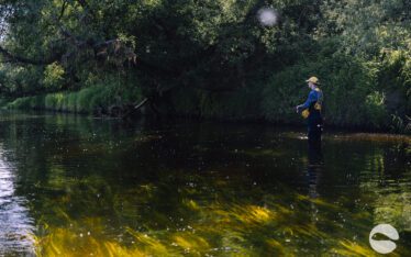 River nevezis