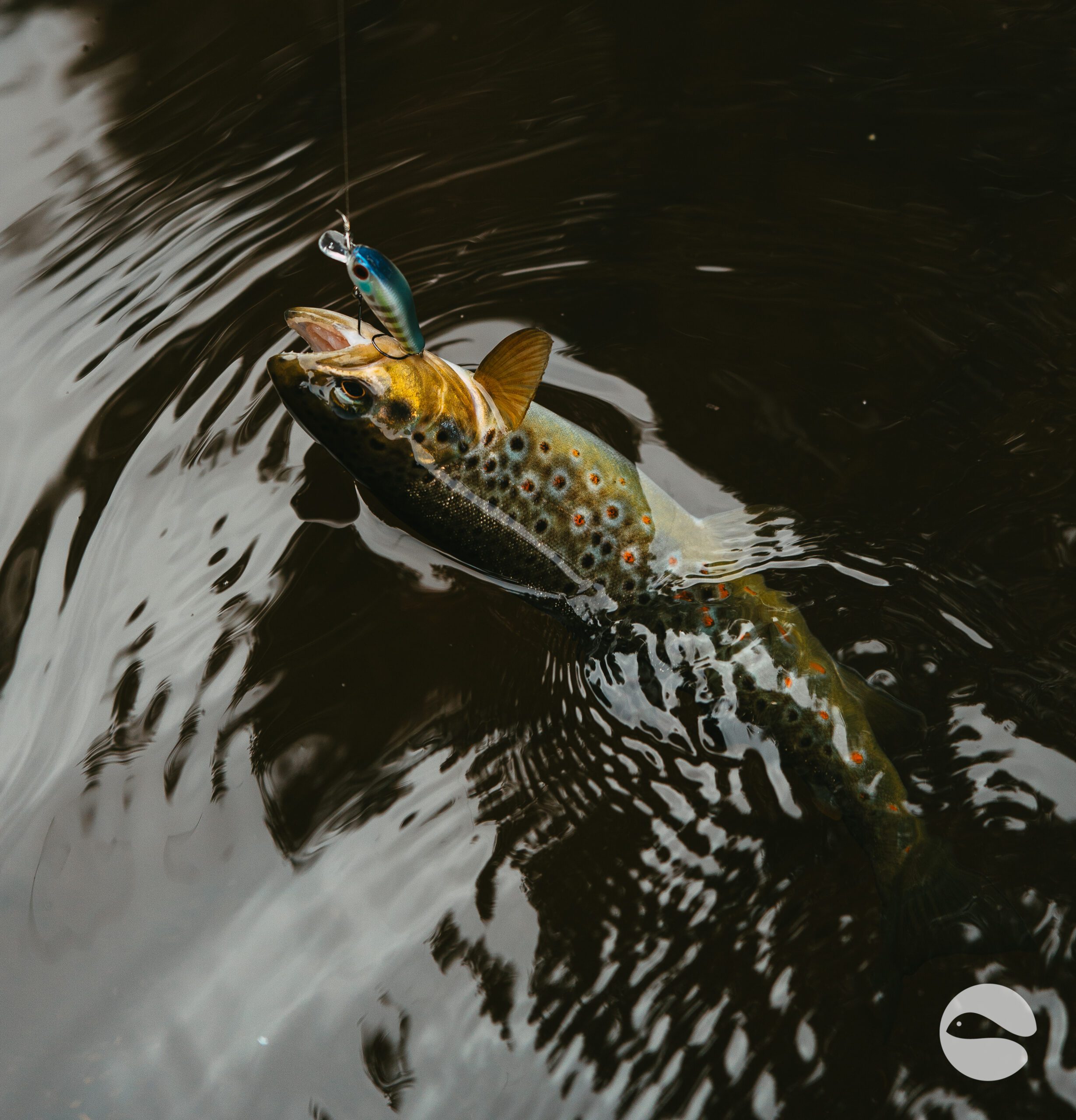 Zipbaits Rigge 35F