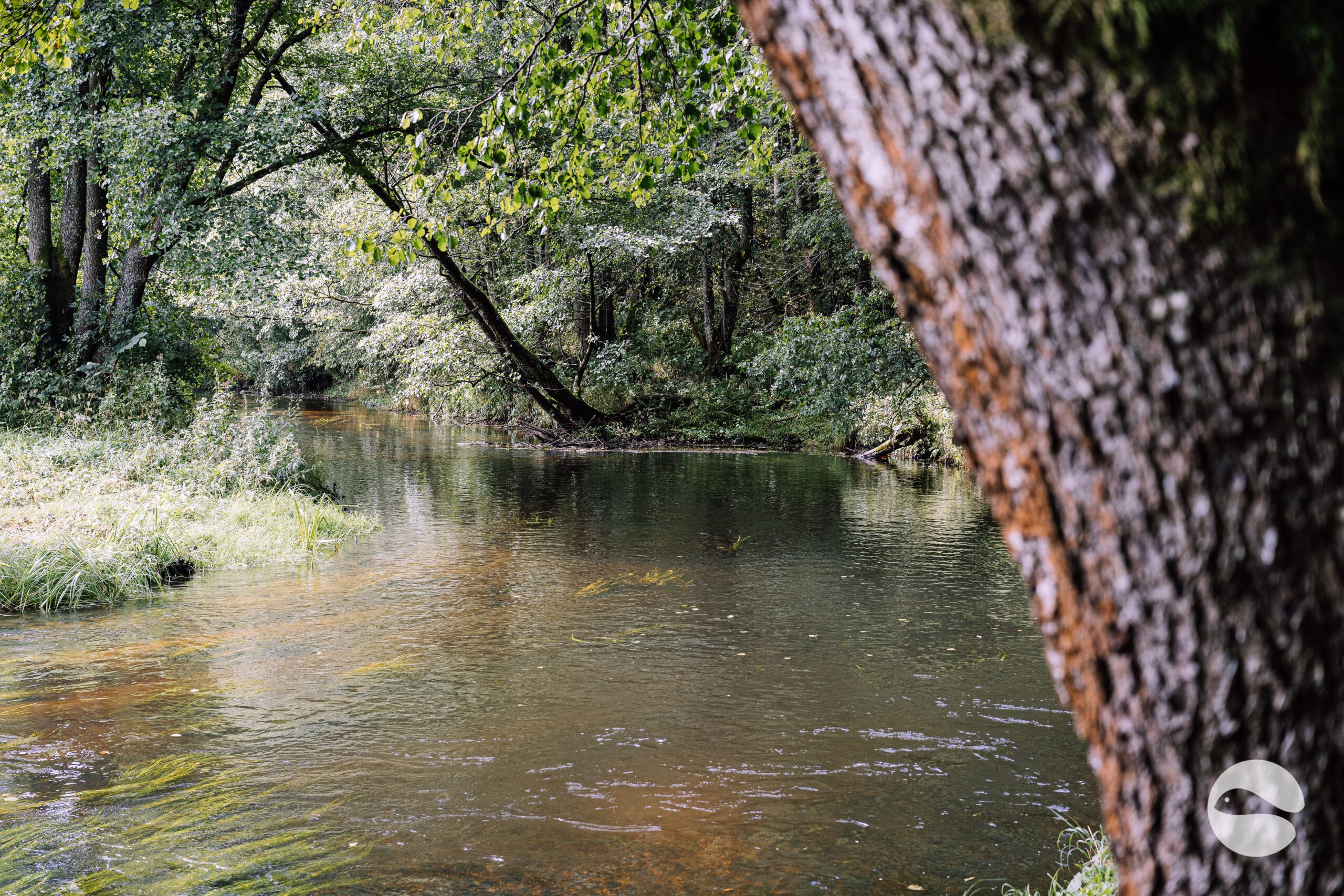River