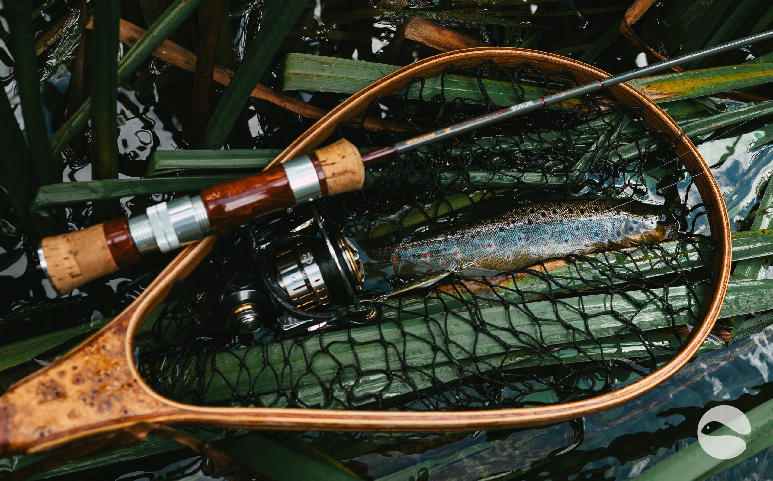 trout saurus trout spin u-effects 56UL